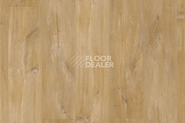 Плитка ПВХ Quick Step Livyn Balance Click Plus BACP BACP40039   Дуб каньон натуральный фото 2 | FLOORDEALER